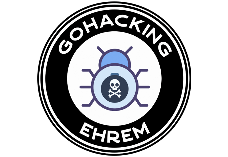 Reverse Engineering Malware